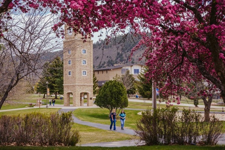 FLC welcomes new trustees with deep roots in Tribal advocacy, education policy