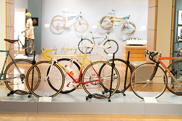 Bicycle Exhibit